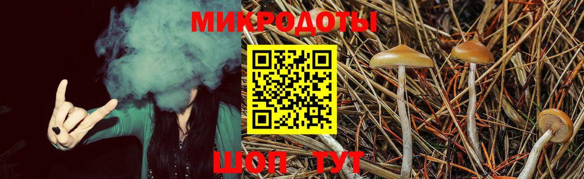 Зеленодольск  Галлюциногенные грибы мухоморы  Вход с VPN  Псилоцибиновые грибы мицелий 